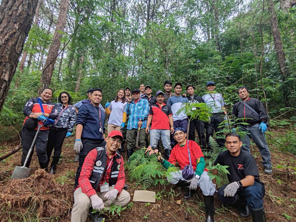 cpdo tree planting